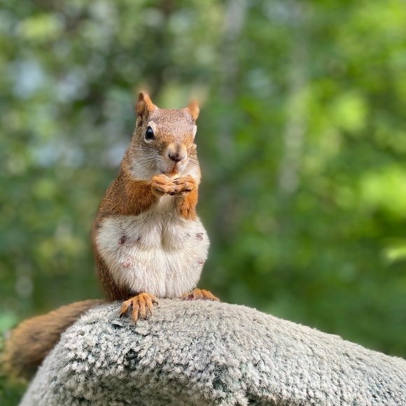 Meet your Posher, Erhi - Picture 1 of 1